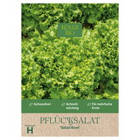 Kölle Bio Saatgut Pflücksalat 'Salad Bowl', grün