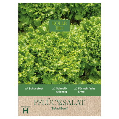 Kölle Bio Saatgut Pflücksalat 'Salad Bowl', grün