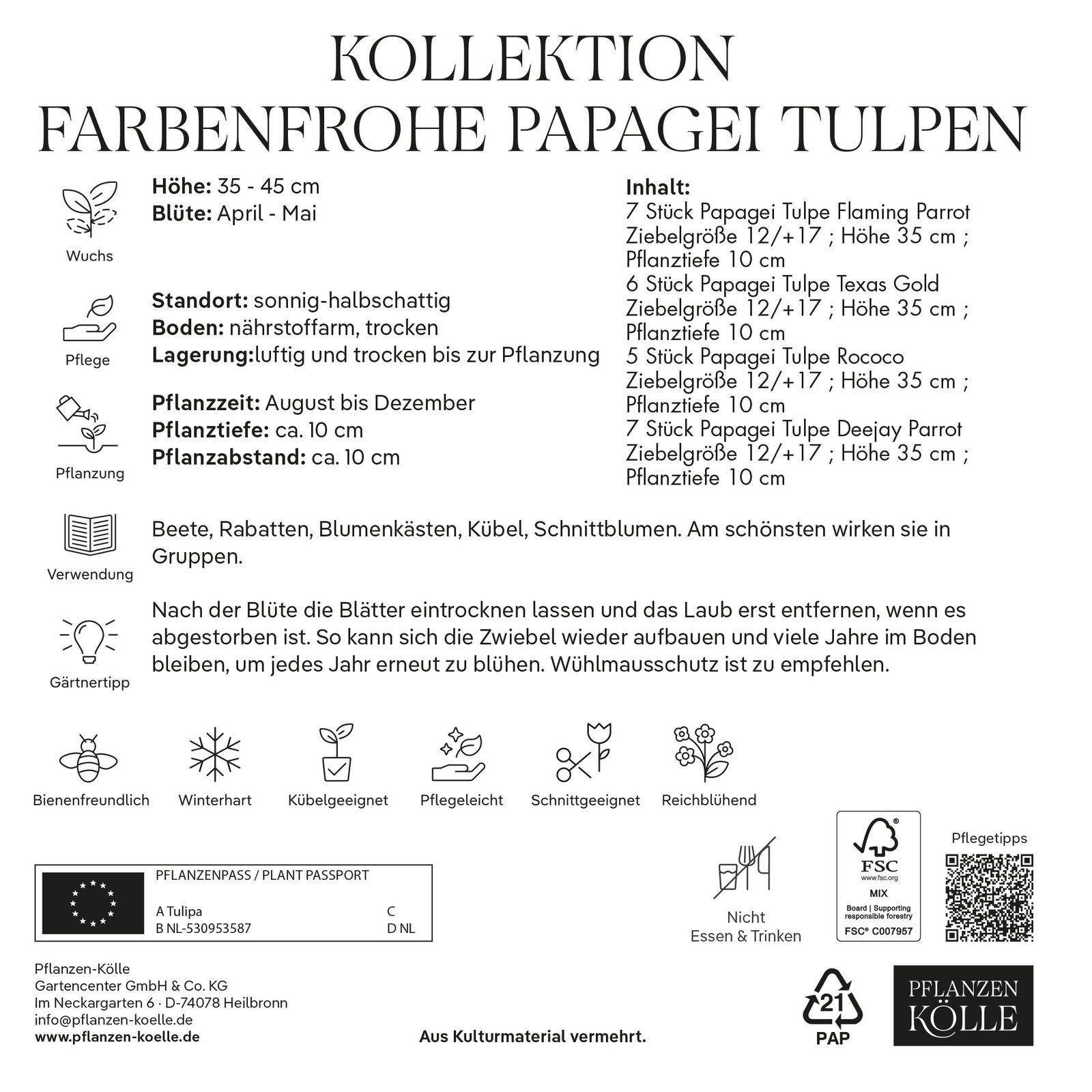 Kölles Beste Blumenzwiebeln Kollektion Farbenfrohe Papagei Tulpen 25 Stück Kölles Beste Blumenzwiebeln Kollektion Farbenfrohe Papagei Tulpen 25 Stück