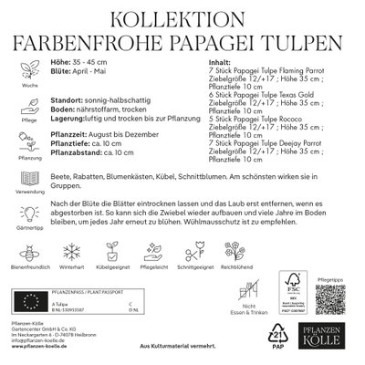 Kölles Beste Blumenzwiebeln Kollektion Farbenfrohe Papagei Tulpen 25 Stück Kölles Beste Blumenzwiebeln Kollektion Farbenfrohe Papagei Tulpen 25 Stück