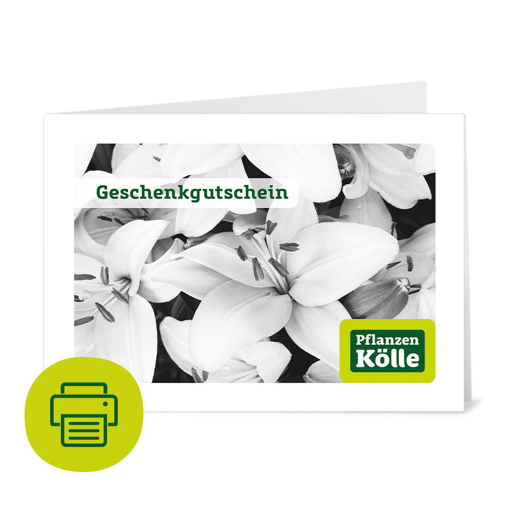 Gutschein zum Ausdrucken &lsquo;Trauer&rsquo; | Pflanzen-Kölle
