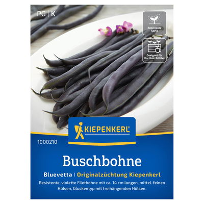 Kiepenkerl Saatgut Buschbohne 'Bluevetta', violett