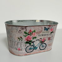 'Danke' - Dipladenien 'Qdeville®' rosa in Zinkschale