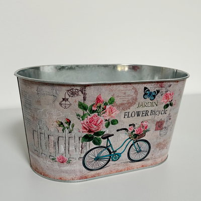 'Danke' - Dipladenien 'Qdeville®' rosa in Zinkschale