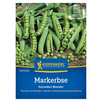 Saatgut, Markerbse 'Kelvedon Wonder'