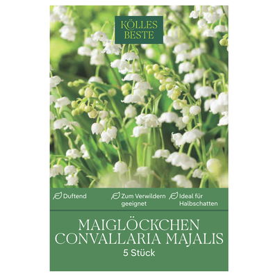 Maiglöckchen (Convallaria Majalis) weiß, 5 Blumenzwiebeln Maiglöckchen (Convallaria Majalis) weiß, 5 Blumenzwiebeln