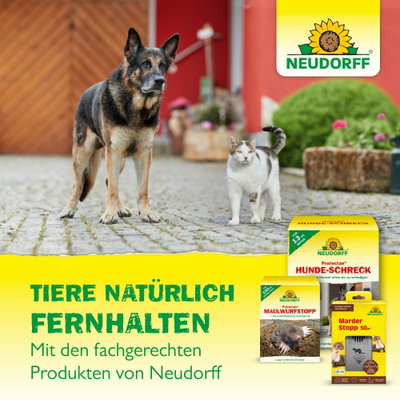 Neudorff Protectan® Marder-Schreck, 200 g Neudorff Protectan® Marder-Schreck, 200 g