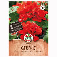 Blumensamen, Geranie 'Madeira', rot