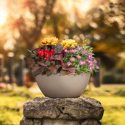 Lechuza 'Cubeto Stone 40', sandbeige, ca. Ø 40 x H 18,3 cm Lechuza 'Cubeto Stone 40', sandbeige, ca. Ø 40 x H 18,3 cm