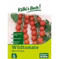 Kölle's Beste Gemüsesamen Wildtomate Red Currant