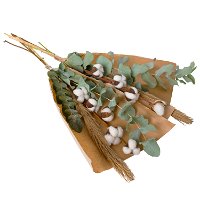 Trockenstrauß Jessi aus Eukalyptus, Pampasgras & Baumwolle, 2er-Set