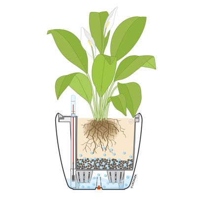 Lechuza 'Classico 60', anthrazit, ca. Ø 60 x H 55,5 cm