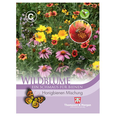 Wildblume Honigbienen Blumenmischung / Bienenfreundlich, mehrjährig