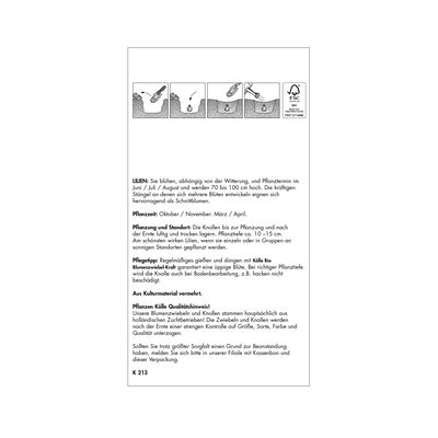 XXL Lilien 'Leichtlinii', gelb mit schwarzem Punkt, 2 Blumenknollen XXL Lilien 'Leichtlinii', gelb mit schwarzem Punkt, 2 Blumenknollen