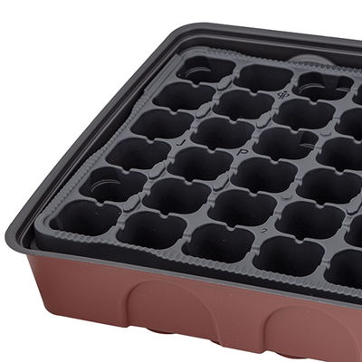 Anzuchtgewächshaus mit Deckel & Topfplatte, 72 Töpfe gelocht, bordeaux Anzuchtgewächshaus mit Deckel & Topfplatte, 72 Töpfe gelocht, bordeaux