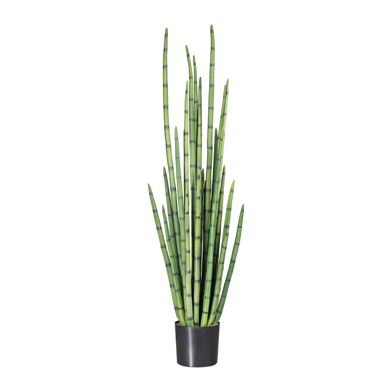 Kunstpflanze Sansevieria cylindrica grün, Kunststofftopf, ca. 140 cm