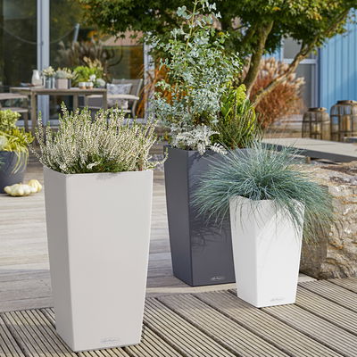 Lechuza 'Cubico Color 40', weiß, ca. 39,5 x 39,5 x H 75,5 cm Lechuza 'Cubico Color 40', weiß, ca. 39,5 x 39,5 x H 75,5 cm