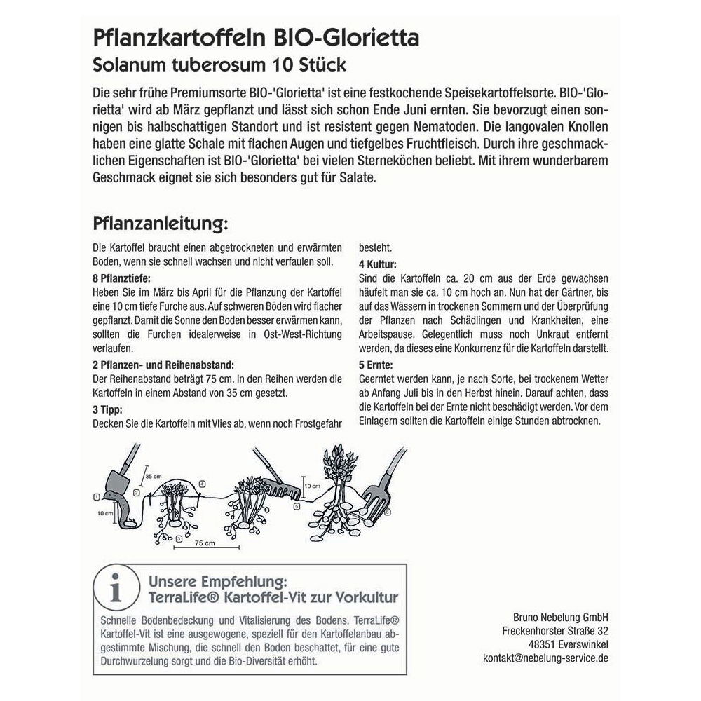 Pflanzkartoffel, Solanum tuberosum 'BIO Glorietta'®, 10 Kartoffeln