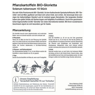 Pflanzkartoffel, Solanum tuberosum 'BIO Glorietta'®, 10 Kartoffeln Pflanzkartoffel, Solanum tuberosum 'BIO Glorietta'®, 10 Kartoffeln