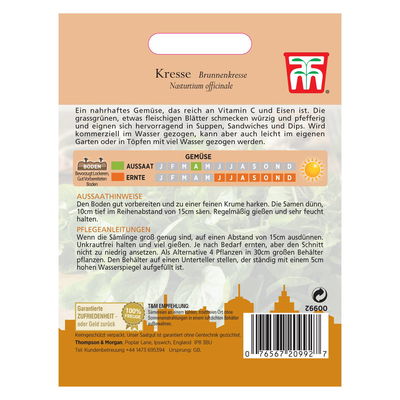 Kresse - Brunnenkresse / grün, Vitamin C haltig, würzig