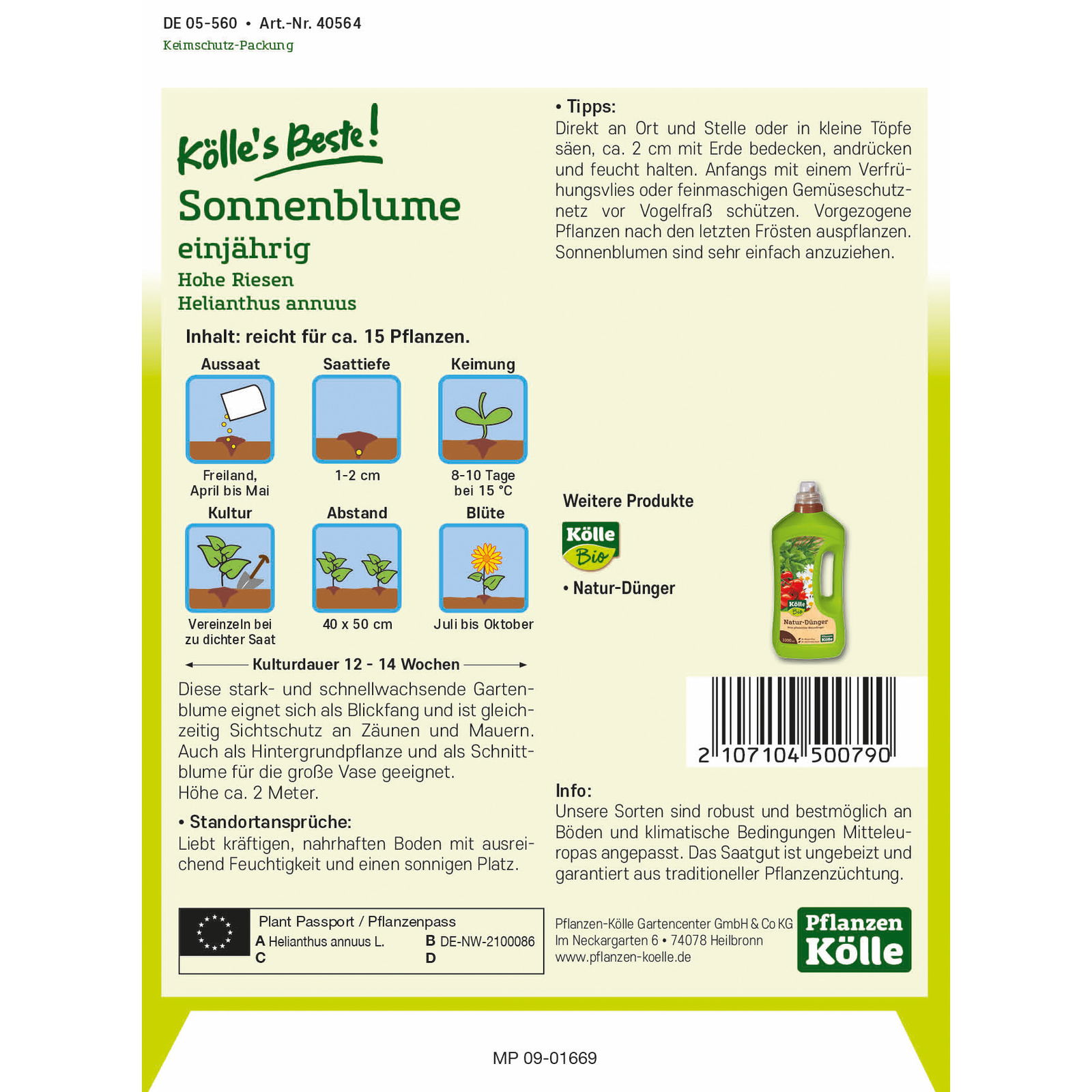 Kölle's Beste Blumensamen Sonnenblume 