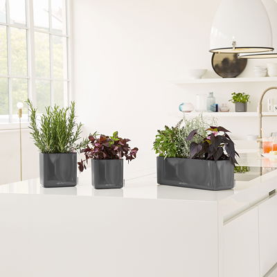 Lechuza 'Cube Glossy 14', anthrazit, ca. 14 x 14 x H 13,5 cm