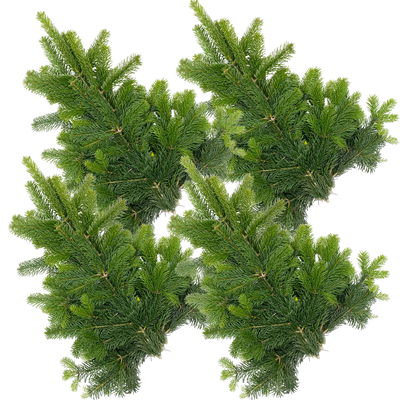 Nordmanntannen-Zweige im Handbund, Länge 60 - 80 cm, ca. 1 kg, 4 Bund Nordmanntannen-Zweige im Handbund, Länge 60 - 80 cm, ca. 1 kg, 4 Bund