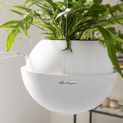 Lechuza 'Bola Color 32', weiß, ca. Ø 32 x H 25 cm Lechuza 'Bola Color 32', weiß, ca. Ø 32 x H 25 cm