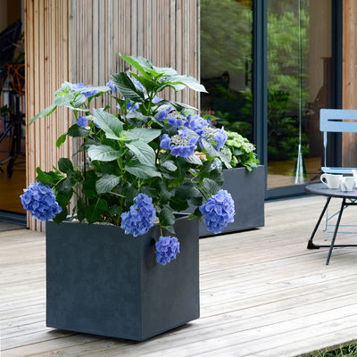 Eda Pflanztrog 'Basalt Dado', anthrazit, ca. 50 x 50 x H 50 cm