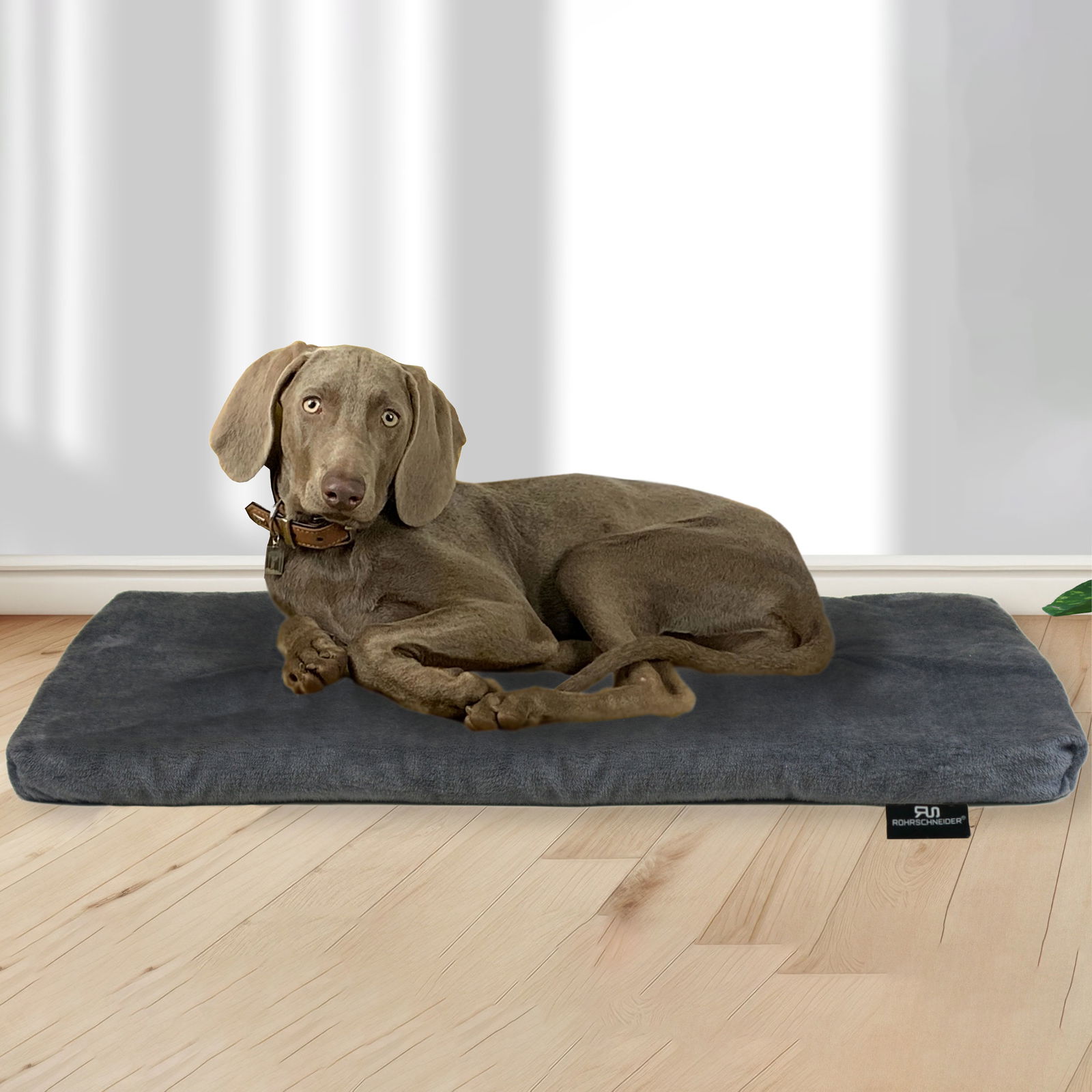 Silvio Design Tierkissen 'Max', Größe 3, ca. 75 x 120 cm