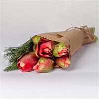 Blumenbund Amaryllis 'Red Nymph' gefüllt & Seidenkiefer,inkl. gratis Grußkarte