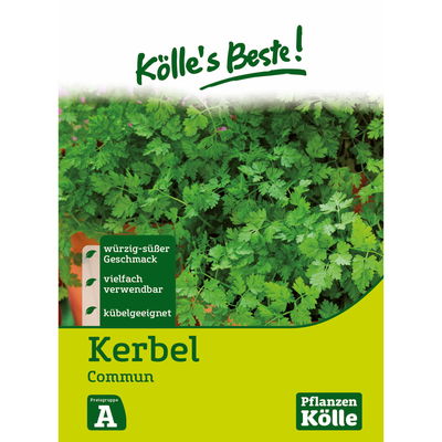 Kölles Beste Kerbel einjährig, 8 g Kölles Beste Kerbel einjährig, 8 g
