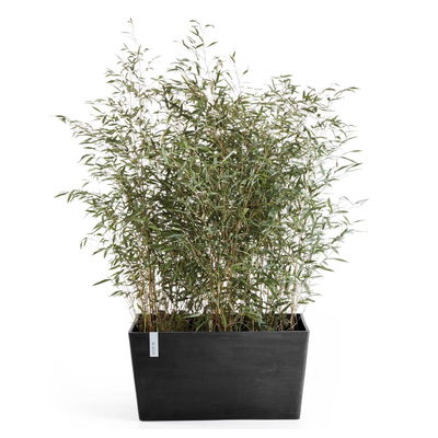 Ecopots Pflanzkasten 'Paris', dunkelgrau, ca. 80 x 38 x H 40 cm Ecopots Pflanzkasten 'Paris', dunkelgrau, ca. 80 x 38 x H 40 cm