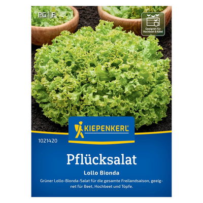 Saatgut, Pflücksalat 'Lollo Bionda'