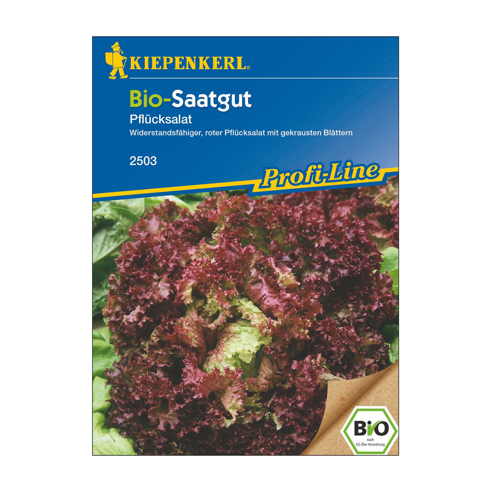 Bio Saatgut, Pflücksalat