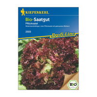 Bio Saatgut, Pflücksalat