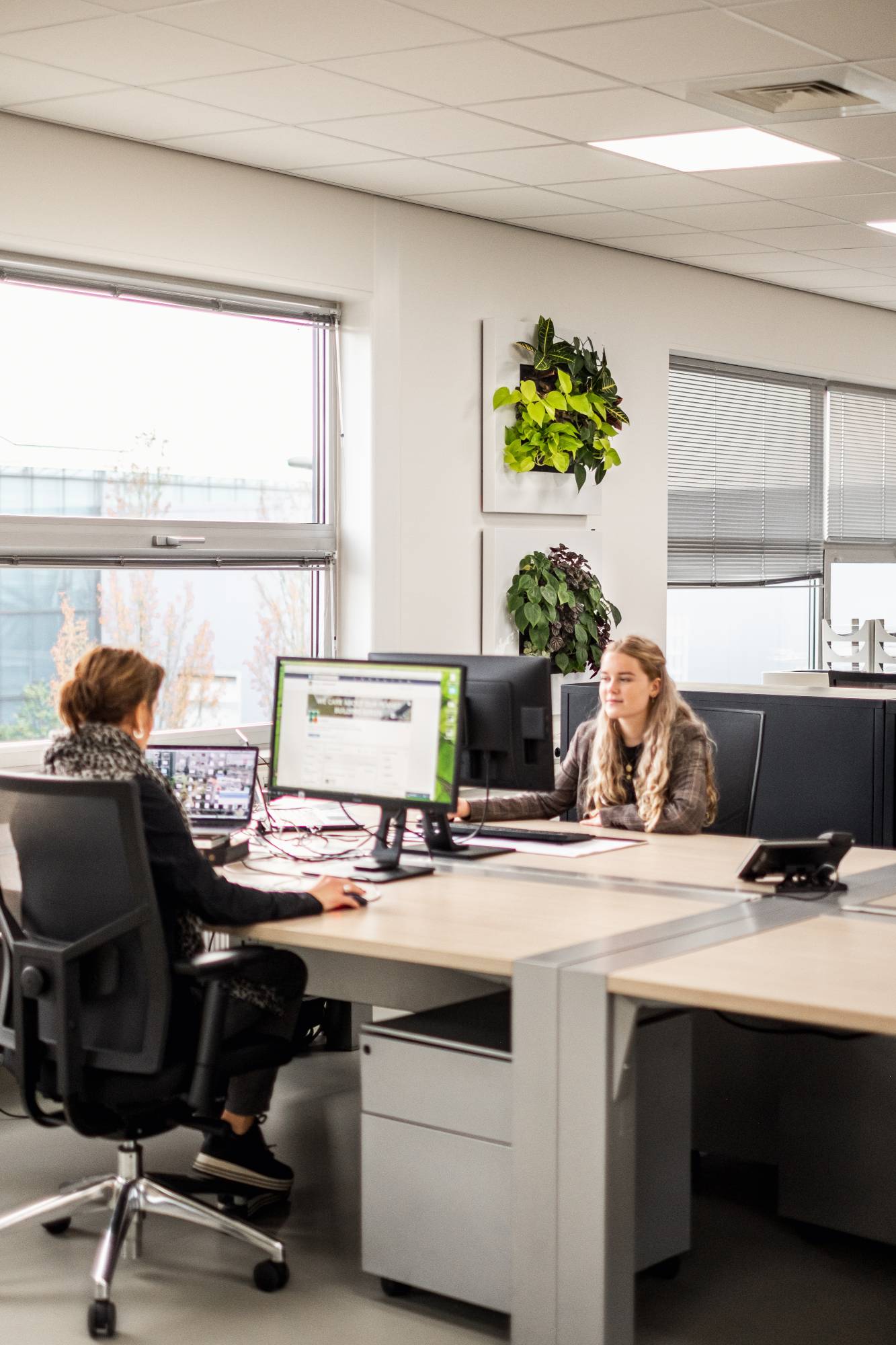 Lebendige Pflanzenbilder in Büro