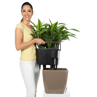 Lechuza 'Quadro LS 43', taupe, ca. 43 x 43 x H 40 cm