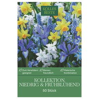 Kollektion kleinbleibende, frühblühende Blumenzwiebeln, 50 Blumenzwiebeln