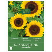 Kölles Beste Blumensamen, Sonnenblume 'Schnittwunder'