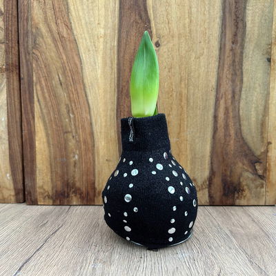 Amaryllis in Wachs, Dekor 'Pullover Streetlife', Farbe zufällig, Blüte rot