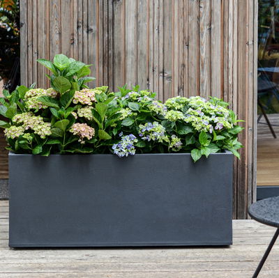 Eda Pflanzkasten 'Basalt Hutch', anthrazit, ca. 100 x 10 x H 43 cm Eda Pflanzkasten 'Basalt Hutch', anthrazit, ca. 100 x 10 x H 43 cm