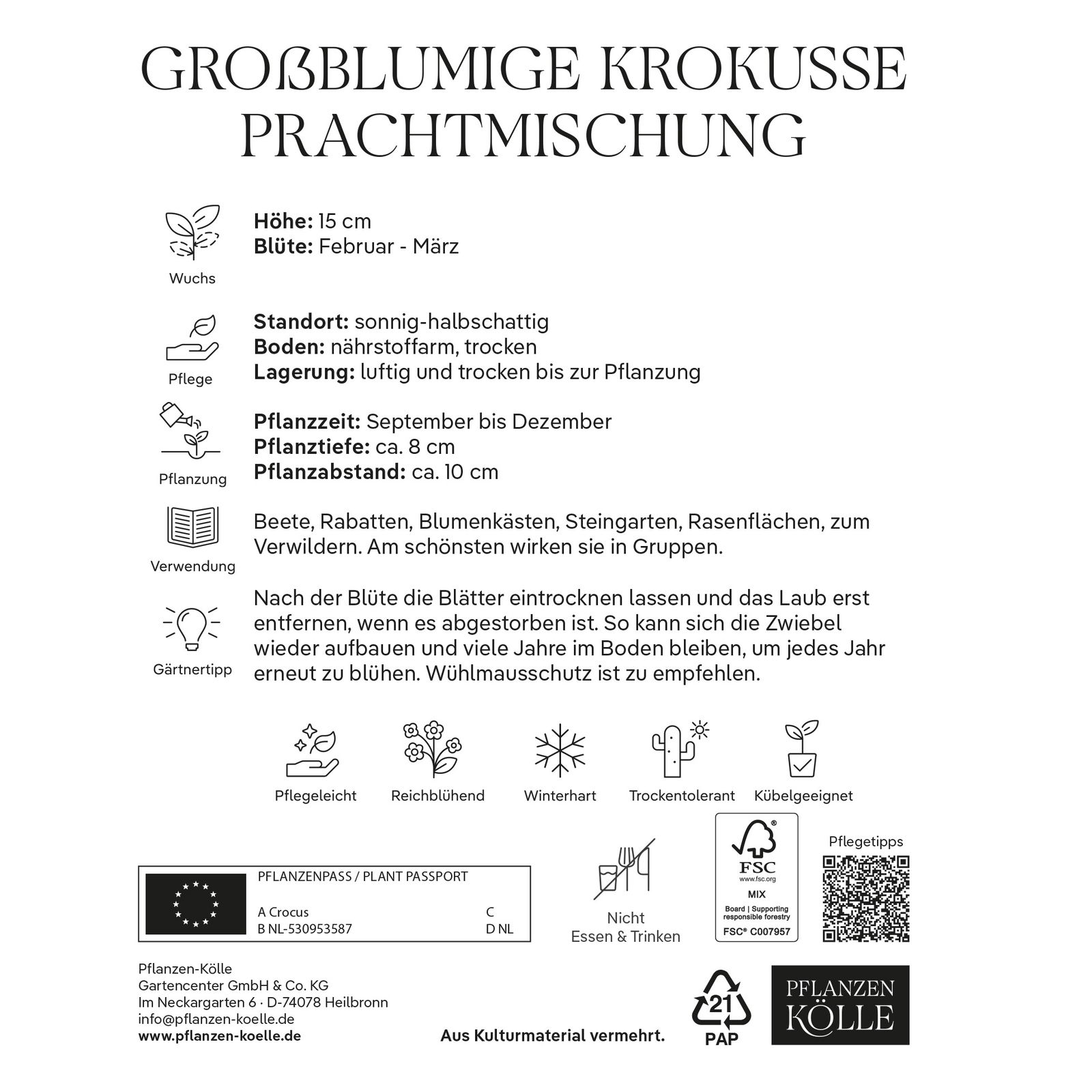großblumige Krokusse Prachtmischung, 50 Blumenzwiebeln