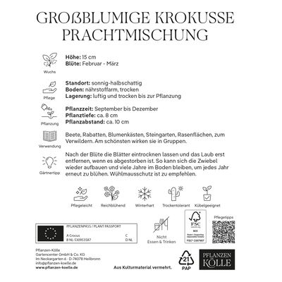 großblumige Krokusse Prachtmischung, 50 Blumenzwiebeln großblumige Krokusse Prachtmischung, 50 Blumenzwiebeln