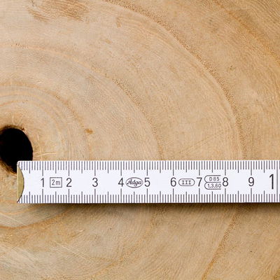 Blu Bio Blauglockenbaum 'NordMax21‘ ®