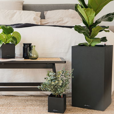 Lechuza 'Canto Stone 30 high', graphitschwarz, ca. 30 x 30 x H 56 cm