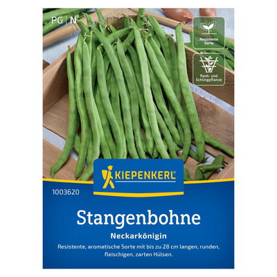 Gemüsesamen, Gemüsesamen, Stangenbohne 'Neckarkönigin' Gemüsesamen, Gemüsesamen, Stangenbohne 'Neckarkönigin'