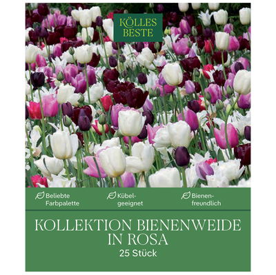 Bienenweide-Mischung in rosa