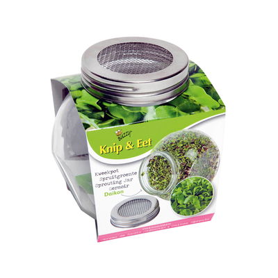 Buzzy Bio Sprossenglas Daikon Rettich Buzzy Bio Sprossenglas Daikon Rettich