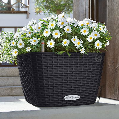 Lechuza 'Bacino Cottage', graphitschwarz, ca. 30 x 30 x H 18 cm Lechuza 'Bacino Cottage', graphitschwarz, ca. 30 x 30 x H 18 cm